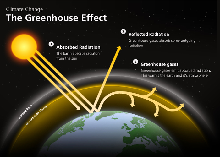 The greenhouse-effect